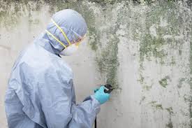 Greenbriar, VA Mold Removal Company